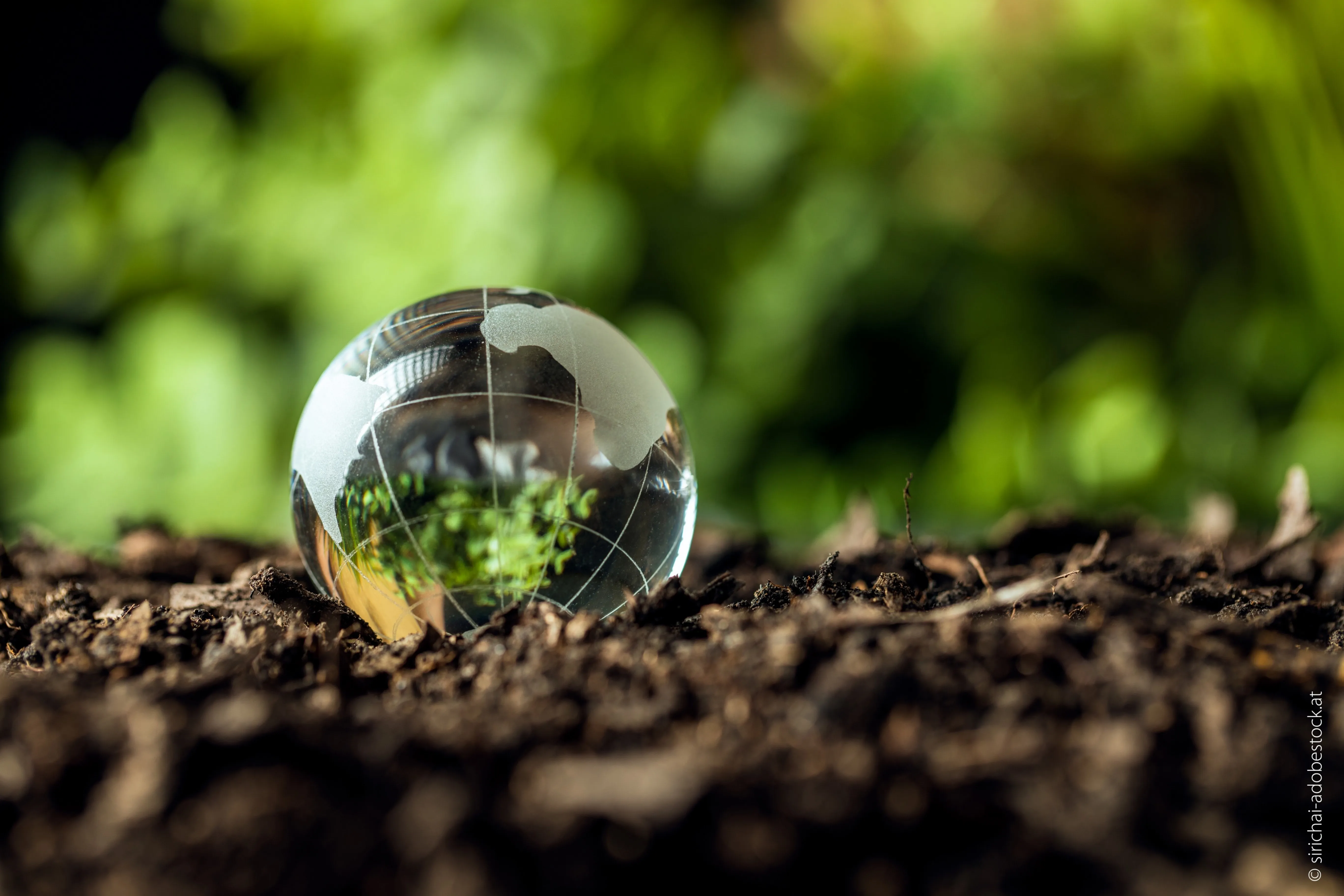Soil, Sphere, Animal, Insect, Invertebrate