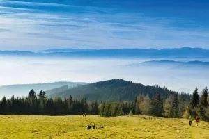 Nature, Outdoors, Scenery, Landscape, Countryside, Field, Pasture, Grassland, Panoramic, Land