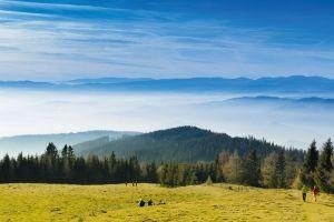 Nature, Outdoors, Scenery, Landscape, Countryside, Field, Pasture, Grassland, Panoramic, Land