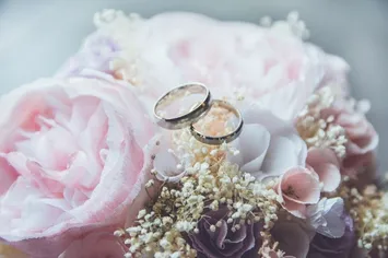 Accessories, Jewelry, Ring, Flower, Plant, Rose, Petal, Dahlia
