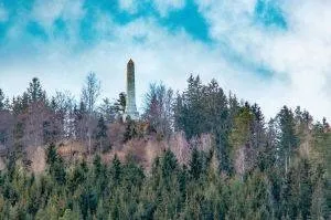 Plant, Tree, Conifer, Fir, Pine, Vegetation, Woodland, Grove, Rocket, Weapon