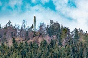 Plant, Tree, Conifer, Fir, Pine, Vegetation, Woodland, Grove, Rocket, Weapon