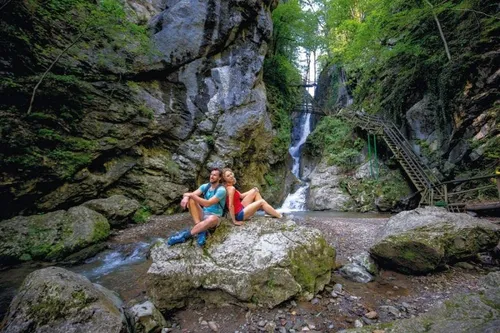Rock, Vegetation, Jungle, Land, Rainforest, Tree, Moss, Wilderness, Woodland, Portrait