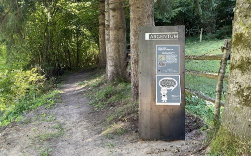 Ein Schild namens 'Argentum' befindet sich in einem Wald und zeigt Informationen an. Es steht auf einem Pfad aus Erde, umgeben von Bäumen und Gras. Ein Stacheldrahtzaun befindet sich in der Nähe.