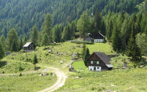 Ein kleines Dorf mit mehreren Holzhäusern, eingebettet in einem üppig grünen Tal mit einem dichten Wald im Hintergrund.