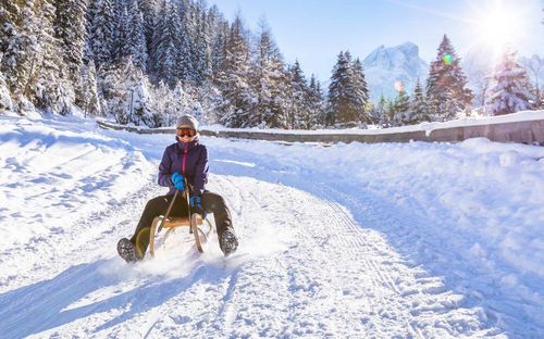 Eine Person fährt mit einem Schlitten einen schneebedeckten Berg hinunter, mit Kiefernbäumen und Bergen im Hintergrund.