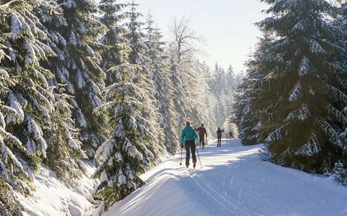 Mehrere Menschen langlaufen einen schneebedeckten Pfad, der von immergrünen Bäumen gesäumt ist. Der Weg ist frei und markiert.