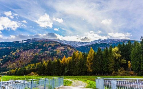 Ein malerischer Blick auf eine Bergkette mit schneebedeckten Gipfeln und einem üppigen Wald unten. Bäume mit leuchtenden Herbstfarben säumen die Landschaft, und ein schmaler Pfad schlängelt sich durch das Grün.