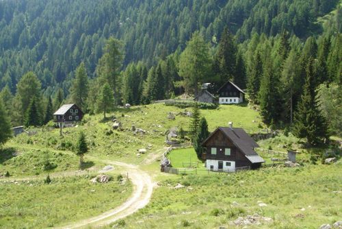 Ein kleines Dorf mit mehreren Chalets und Häusern auf einem Hügel, umgeben von Bäumen und Gras. Ein Feldweg führt zum Dorf.