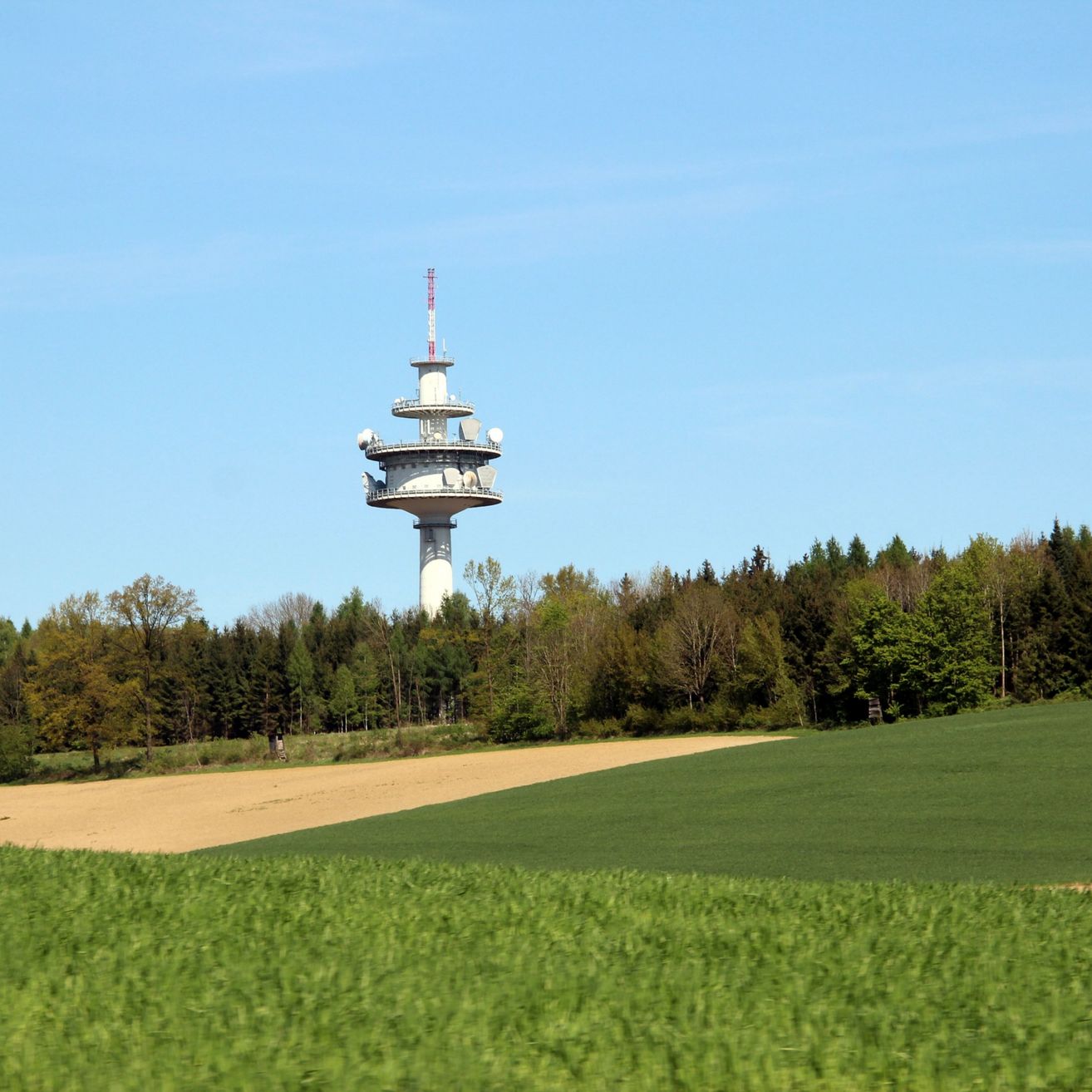 Ein hoher weißer Turm steht inmitten eines üppigen grünen Feldes und eines Waldes unter einem klaren blauen Himmel.