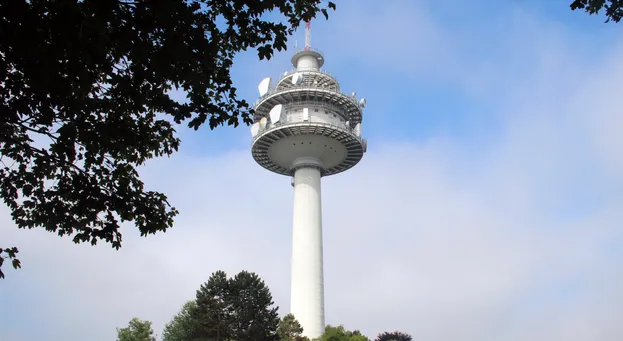Ein hoher weißer Turm mit mehreren Satellitenschüsseln auf der Spitze, umgeben von Bäumen und blauem Himmel.