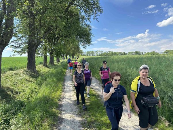 Eine Gruppe von Menschen geht auf einem Feldweg, umgeben von hohem Gras und Bäumen, an einem sonnigen Tag.