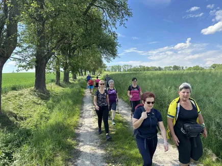 Eine Gruppe von Menschen geht auf einem Feldweg in einem Grasfeld, umgeben von Bäumen. Sie tragen Freizeitkleidung und einige tragen eine Brille. Der Himmel ist blau mit einigen Wolken.
