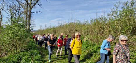 Eine Gruppe älterer Frauen mit Stöcken wandert auf einem Grasweg, umgeben von dichter Vegetation. Der Himmel ist klar mit ein paar Wolken.