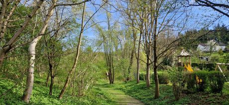 Ein schmaler Pfad schlängelt sich durch einen Wald schlanker Bäume, wobei eine kleine Holzstruktur in der Ferne sichtbar ist. Der Pfad wird von üppigem Grün gesäumt, und der Himmel darüber ist klar und blau.