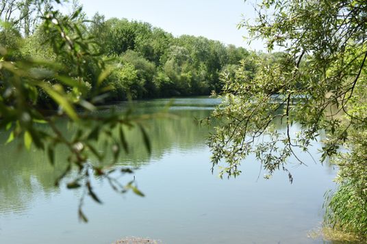 Ein ruhiger See umgeben von üppigem grünen Bäumen unter einem klaren blauen Himmel.