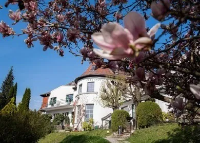 Building, House, Housing, Villa, Flower, Outdoors, Nature, Neighborhood, Grass, Tree