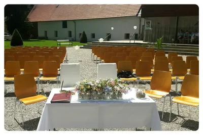 Chair, Furniture, People, Person, Potted Plant, Bench, Book, Table, Flower Arrangement, Dining Table