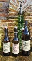 Bottle, Alcohol, Beer, Beverage, Liquor, Wine, Wine Bottle, Shaker