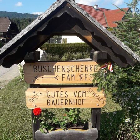 Bild enthält, Potted Plant, Wood, Outdoors, Shelter, Planter, Nature, Tree, Sign, Grass, Stained Wood