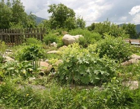 Ein Gartenbereich mit verschiedenen Pflanzen, Steinen und einem Holzzaun im Hintergrund.