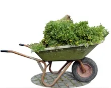 Ein alter Schubkarren voller grüner Büsche steht auf einem Ziegelboden. Er hat rostige Metallgriffe und Räder.