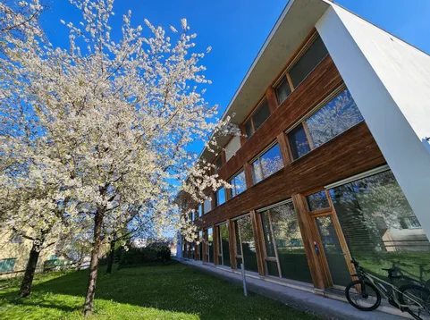 Ein Bürogebäude mit Holzfassade und Glasfenstern. Ein Fahrrad ist an der Seite des Gebäudes geparkt. Ein Baum mit weißen Blüten steht vor dem Gebäude.