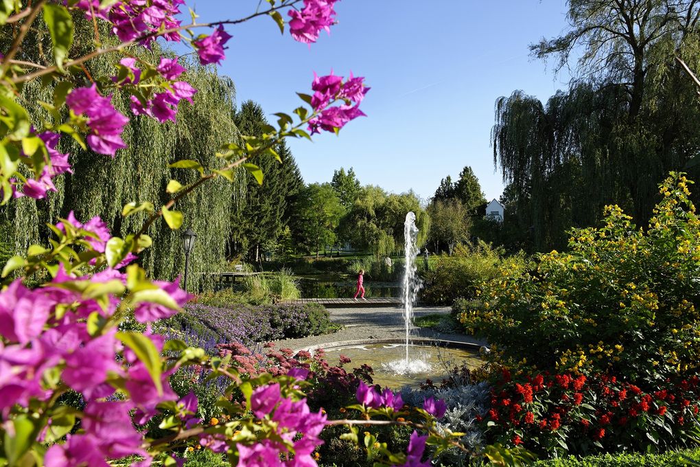  Abschnitt Bild: Ein Garten mit leuchtenden Blumen und einem Springbrunnen. Eine Person in Rot geht auf einem Holzweg in der Nähe des Brunnens. Bäume und Grünfläche umgeben das Gebiet.