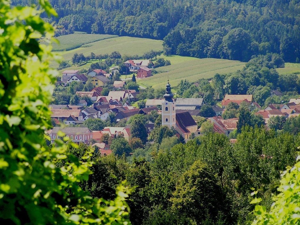  Abschnitt Bild: Luftaufnahme eines Dorfes, umgeben von üppigen grünen Feldern und Bäumen. Das Dorf hat viele Häuser, einige mit roten Dächern. Ein Kirchturm sticht in der Mitte hervor.