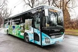 Ein blau-grüner Bus fährt mit Bäumen und Gras an der Seite die Straße entlang.