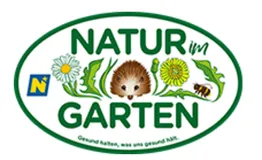 Animal, Mammal, Rodent, Cat, Pet, Bee, Honey Bee, Insect, Invertebrate