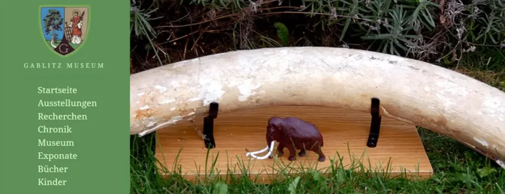 Ivory, Animal, Elephant, Mammal, Wildlife, Plant, Tree, Person, Wood