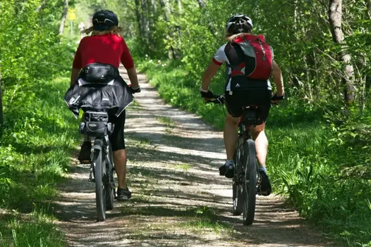 Path, Helmet, Person, Outdoors, Trail, Bicycle, Vehicle, Wheel, Cycling, Vegetation