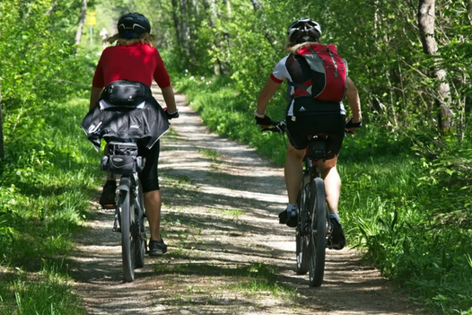 Path, Helmet, Person, Outdoors, Trail, Bicycle, Vehicle, Wheel, Cycling, Vegetation
