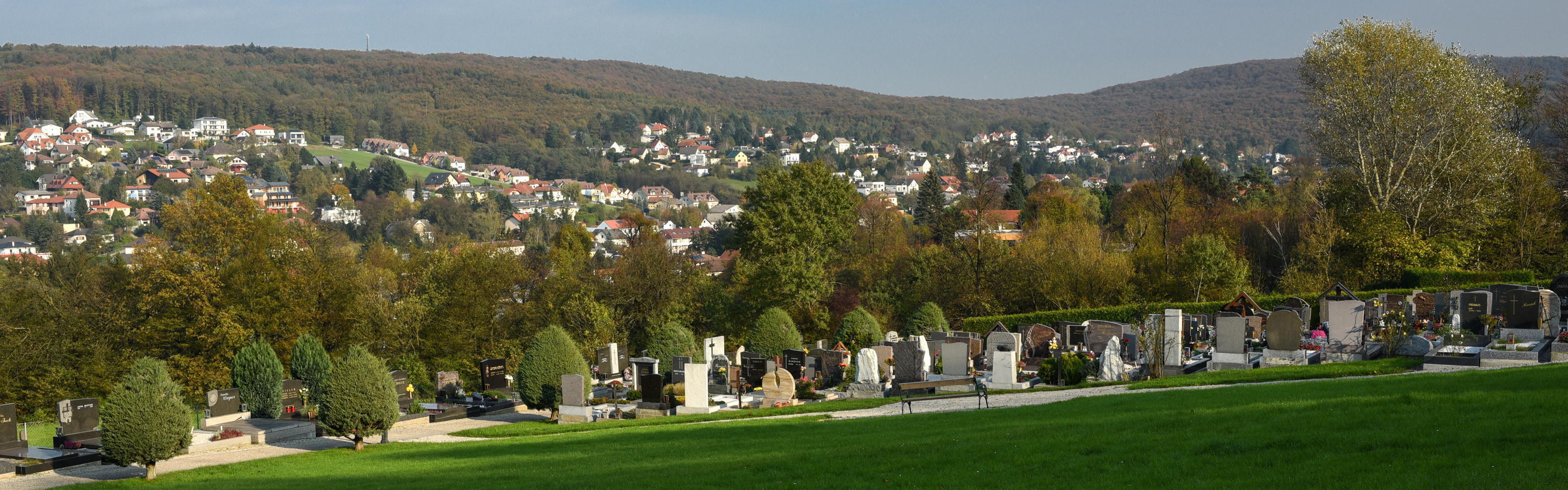 Plant, Tree, Fir, Graveyard, Outdoors, Grass, Nature, Scenery