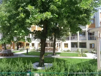 Ein gepflegter Garten mit einem zentralen Baum, umgeben von Sträuchern und Rasen, mit einem modernen Gebäude mit Balkonen und Fenstern.