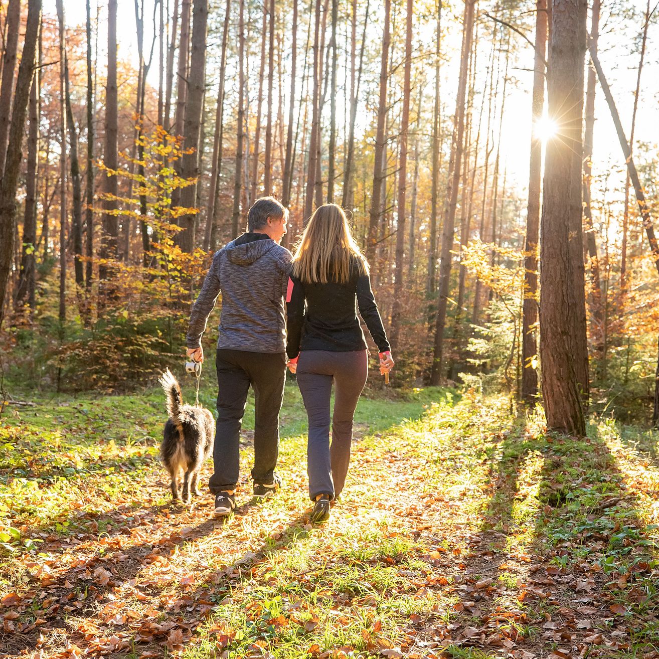 Bild enthält, Vegetation, Person, Walking, Land, Tree, Woodland, Adult, Male, Man, Path