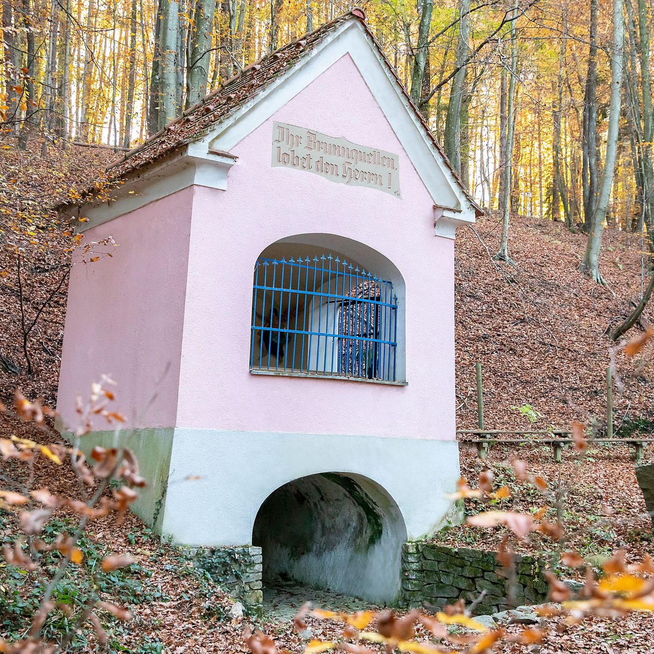 Bild enthält, Den, Indoors, Dog House, Architecture, Building, Outdoors, Shelter, Autumn, Housing