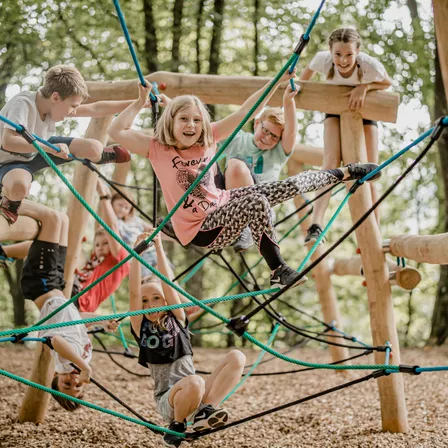 Eine Gruppe von Kindern spielt draußen in einem Wald auf einer Seilleiter.