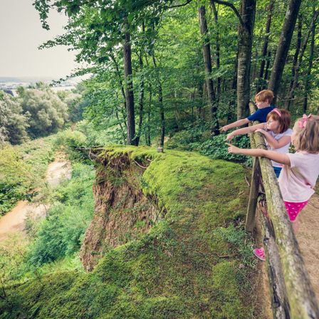 Drei Kinder stehen auf einem Felsen und blicken in ein Tal. Zwei Mädchen vorne, eines zeigt, eines steht auf einem Zaun. Ein Junge hinter ihnen schaut ins Tal.