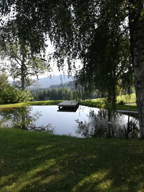 Ein ruhiger Teich mit einem kleinen Steg, umgeben von üppigem Grün und Bäumen, unter einem klaren Himmel mit entfernten Bergen.