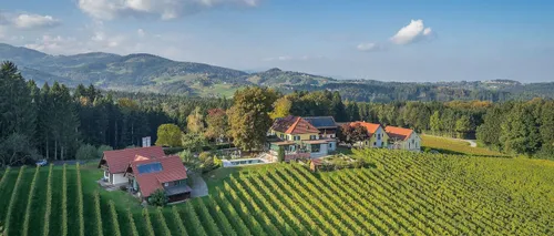 Luftaufnahme einer malerischen ländlichen Gegend mit Häusern, einem Weinberg und Bergen unter einem teilweise bewölkten Himmel.