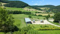 Ein Luftbild einer ländlichen Landschaft mit grünen Feldern, einem kleinen Gebäude und einem Pferd in einem Paddock.