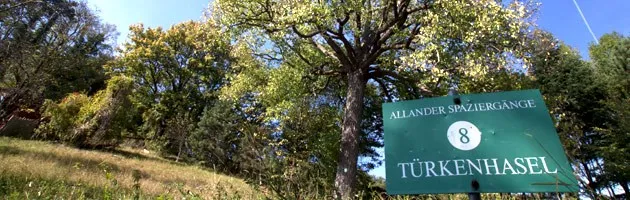 Ein grünes Schild mit der Nummer 8 und dem Text Turkenhasel steht in einem Grasbereich mit Bäumen im Hintergrund.