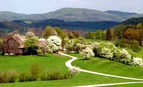 Eine ruhige ländliche Landschaft mit einem gewundenen Pfad durch ein saftiges grünes Feld, umgeben von Bäumen und Büschen, mit einem Haus und entfernten Bergen im Hintergrund.