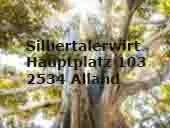 Ein großer Baum mit hellem Licht, das durch seine Äste scheint und den Text 'Silbertalerwist Hauptplatz 103 2534 Alland' in fetter Schrift anzeigt.