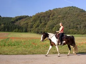 Eine Frau reitet ein braun-weißes Pferd auf einem Kiesweg durch ein Feld mit roten Mohnblumen und einem bewaldeten Hügel im Hintergrund.