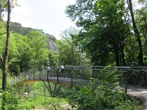 Eine Metallbrücke mit einem Holzdeck befindet sich in einem üppigen grünen Wald, auf dem zwei Personen gehen.