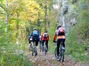 Eine Gruppe von Radfahrern fährt auf einem schmalen Pfad durch einen dichten Wald, umgeben von Bäumen mit Herbstlaub.