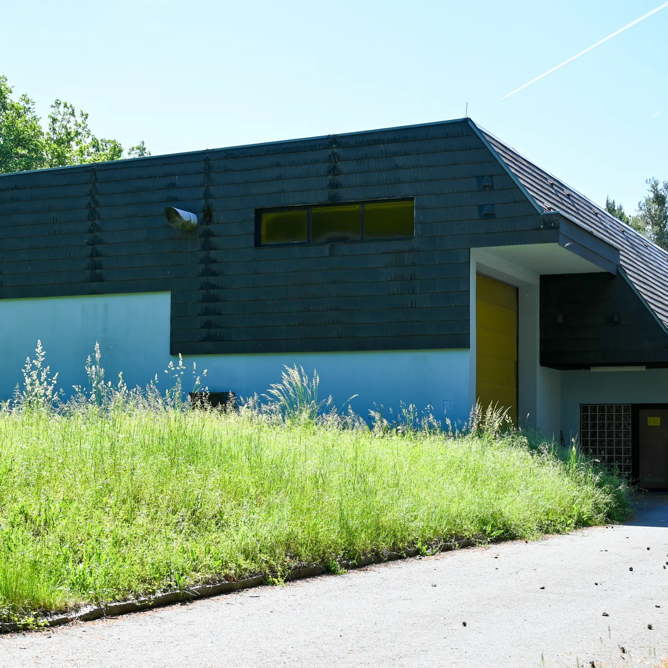 Ein modernes architektonisches Gebäude mit schwarzem Dach und gelber Tür steht auf einem Feld mit hohem Gras.